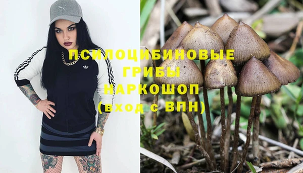 хмурый Белоозёрский