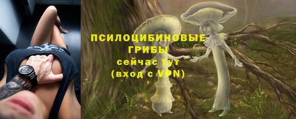 хмурый Белоозёрский