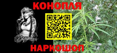 гашик Славгород