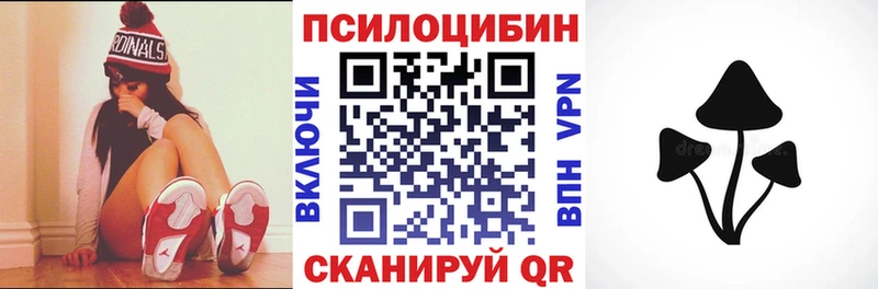 где купить наркоту  Пыть-Ях  Псилоцибиновые грибы мухоморы 