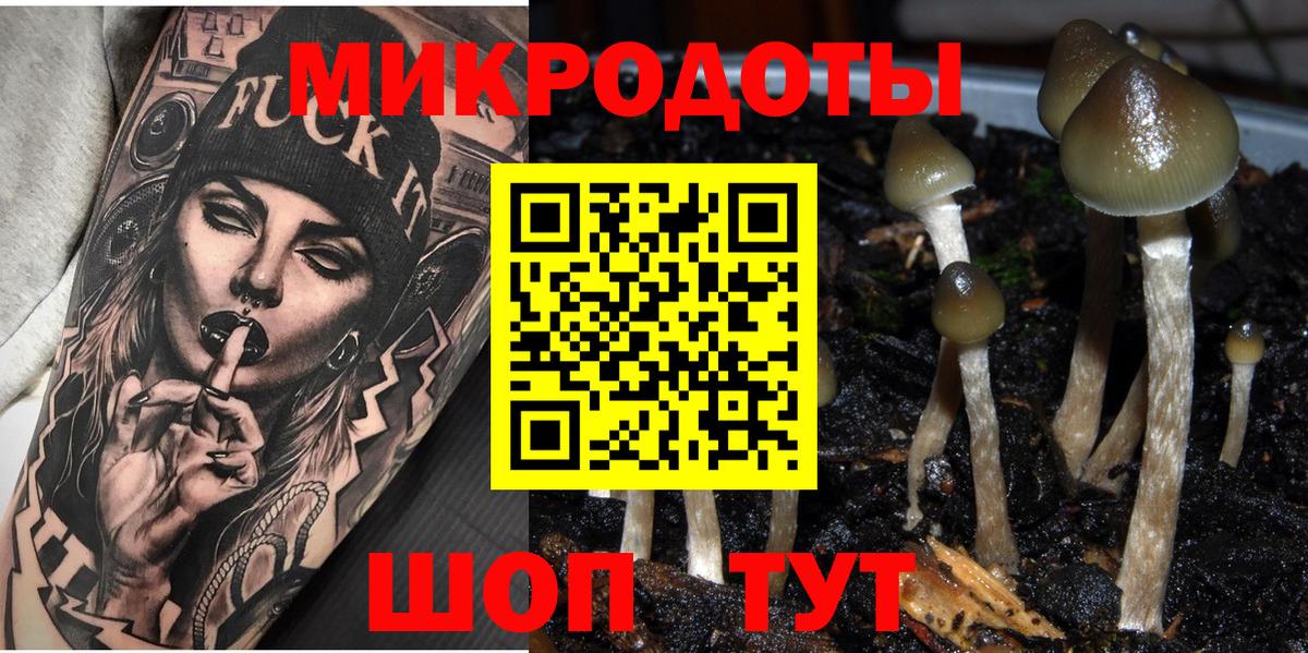 Пыть-Ях  купить закладку  Вход с VPN  Псилоцибиновые грибы Cubensis 